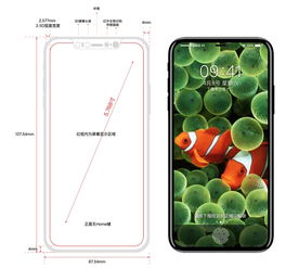 iPhone 8 終極曝光 顛覆性設(shè)計(jì)與配置，科技領(lǐng)域再樹新標(biāo)桿